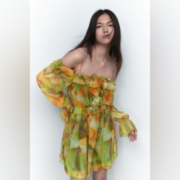 ZARA Printed Tulle Dress - Picture 2 of 14